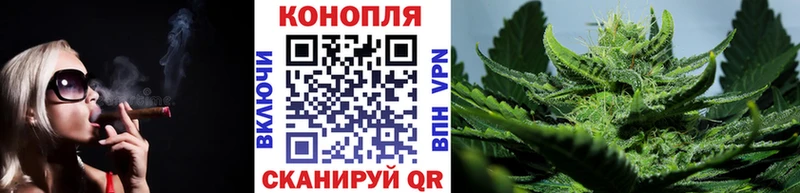 наркота  Заводоуковск  Шишки марихуана гибрид 